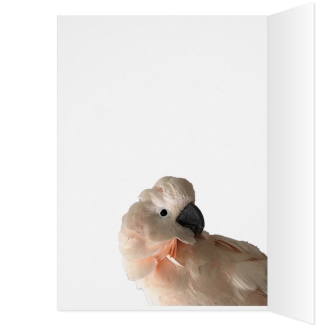 Het dragen is het Delen kaart (Binnen (Links))