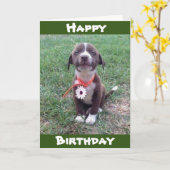 *** HET DRAGEN VAN EEN MADAISY ALLEEN VOOR JOU *** KAART (Gele Bloem)