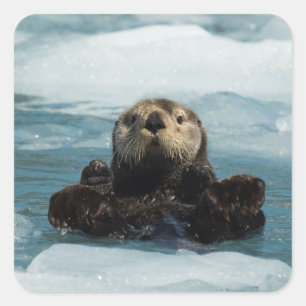 Het drijven Otter Vierkante Sticker