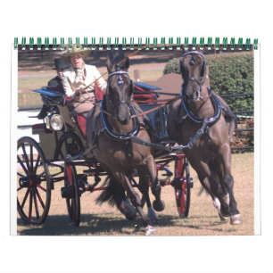 het drijven paarden kalender