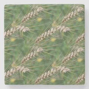 Het droge Patroon van de Kunst van de Natuur van Stenen Onderzetter