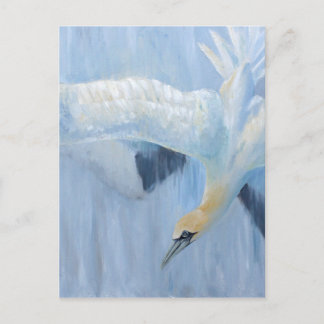 Het duiken van jan-van-gent unieke giften voor u briefkaart