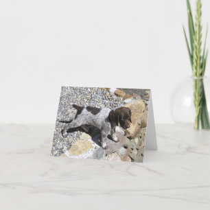 Het Duitse Kortharige Puppy van de Wijzer Kaart