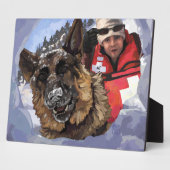 Het Duitse Schapenonderzoek en Redding in de sneeu Fotoplaat (Zijkant)