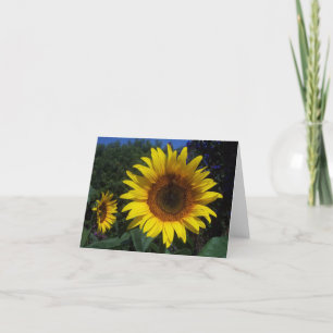 Het Duo Notecard van de zonnebloem Kaart
