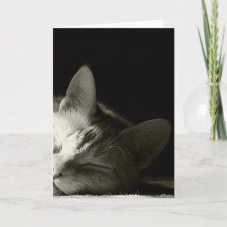 Het "dutje van de kat " kaart