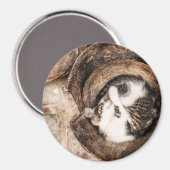 Het Dutje van de kat Magneet (Voorkant / Achterkant)