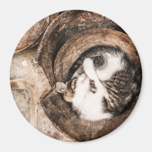 Het Dutje van de kat Magneet