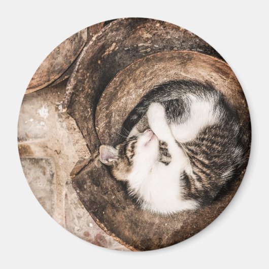 Het Dutje van de kat Magneet (Voorkant)