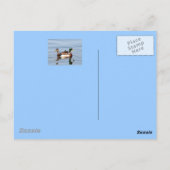 Het echte briefkaart van Florida (Achterkant)