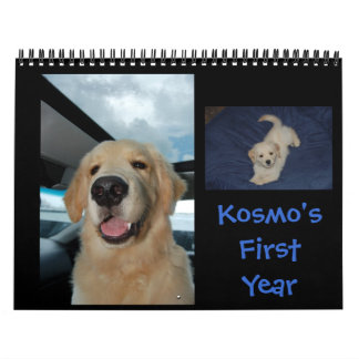 Het eerste jaar van Kosmo Kalender