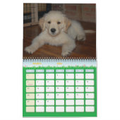 Het eerste jaar van Kosmo Kalender (Mar 2026)