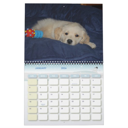 Het eerste jaar van Kosmo Kalender (Jan 2026)