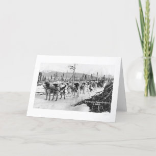 Het eerste Team Alaska 1910 van de Hond Kaart