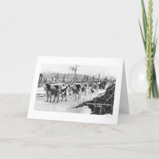 Het eerste Team Alaska 1910 van de Hond Kaart