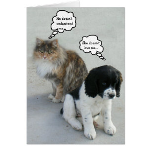 Het eeuwige misverstand...