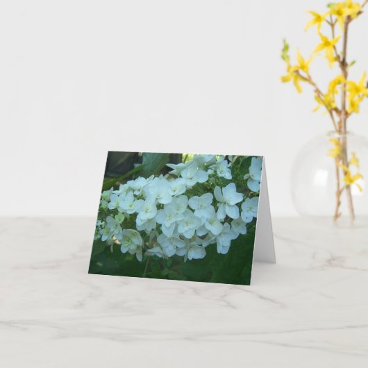 Het eiken Wenskaart van de Bloei van de Hydrangea Kaart (Gele Bloem)