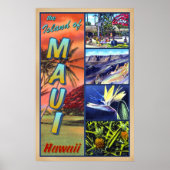 Het eiland Maui Hawaii Poster (Voorkant)