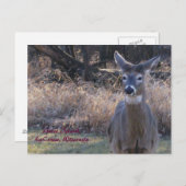 , Het Eiland van de Gans, Lacrosse, Wisconsin Briefkaart (Voorkant / Achterkant)