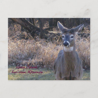 , Het Eiland van de Gans, Lacrosse, Wisconsin Briefkaart