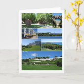 Het Eiland van Mackinac, Michigan, de Kaart van de (Gele Bloem)