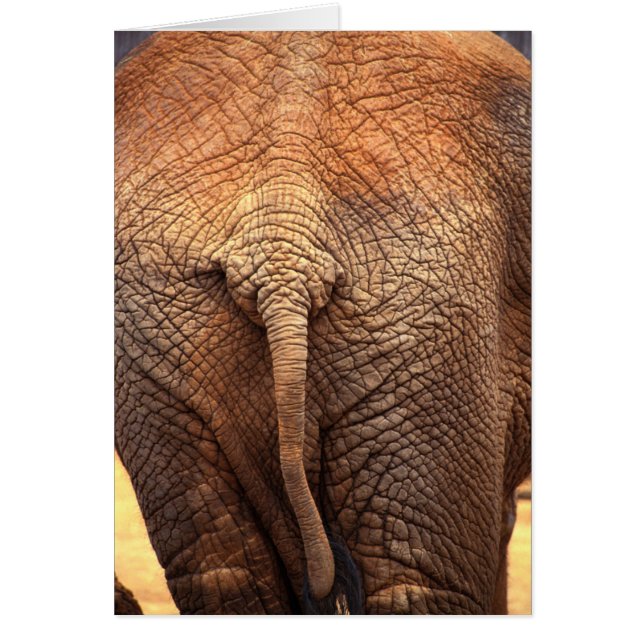 Het einde (Voorkant)