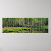 Het Emerald Forest Poster (Voorkant)