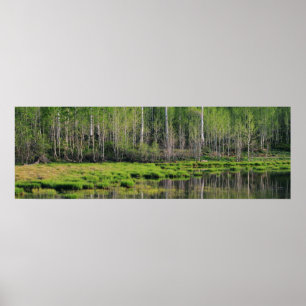 Het Emerald Forest Poster