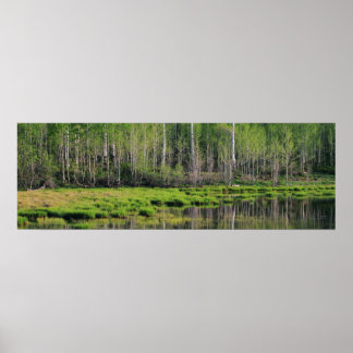 Het Emerald Forest Poster