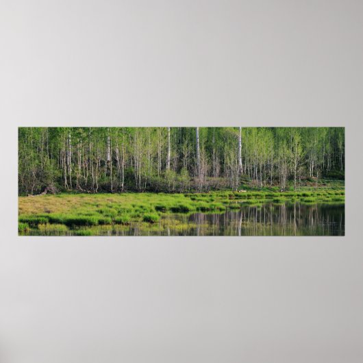 Het Emerald Forest Poster (Voorkant)