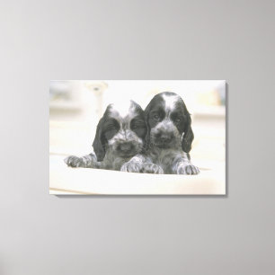 Het Engelse Cocker Spaniel is een hondenras. Het Canvas Afdruk