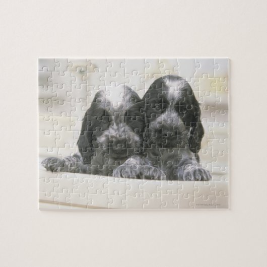 Het Engelse Cocker Spaniel is een hondenras. Het Legpuzzel (Horizontaal)