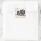 Het Engelse Cocker Spaniel is een hondenras. Het Vierkante Sticker (Tas)