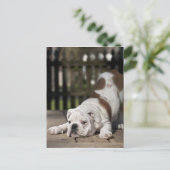 Het Engelse Puppy van de Buldog Briefkaart (Staand voorkant)