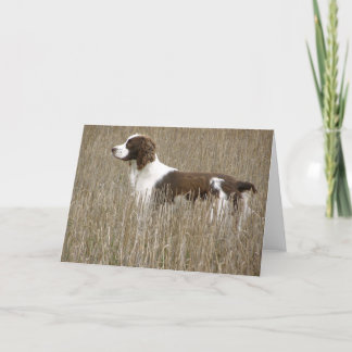 Het Engelse Spaniel van de Aanzetsteen - Wenskaart Kaart