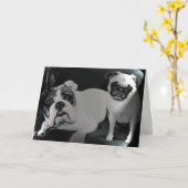 Het Engelse Wenskaart van de Buldog en Pug Kaart (Gele Bloem)