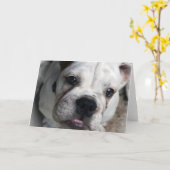 Het Engelse Wenskaart van de Buldog Kaart (Gele Bloem)