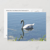 Het enige Briefkaart van de Zwaan (Voorkant / Achterkant)