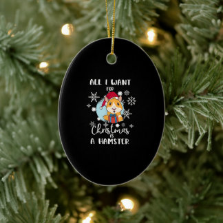 Het enige dat ik wil is een hamster. keramisch ornament