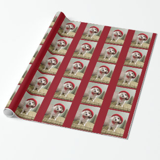 Het enige wat ik voor Kerstmis wil is Bijou. Cadeaupapier