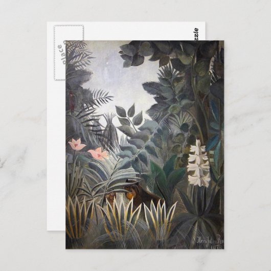 Het Equatoriaal Oerwoud Briefkaart (Voorkant / Achterkant)