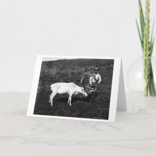 Het Eskimo en Gevangen Rendier van Alaska Kaart