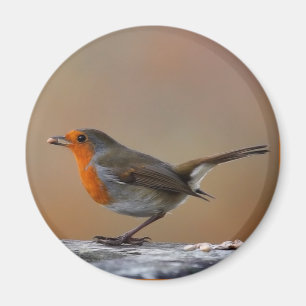 Het eten van Robin Magnet Magneet