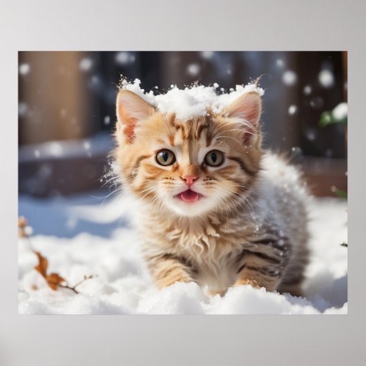 *~* Het eten van Sneeuw Kat 5:4 Kitten Cat AP68 Poster (Voorkant)
