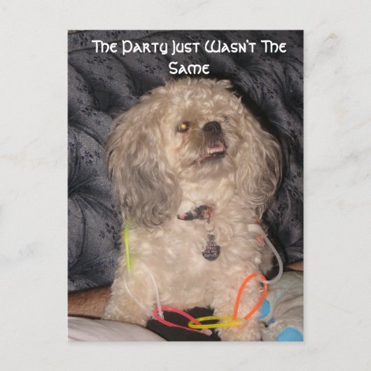 Het feest was gewoon niet hetzelfde. briefkaart (Voorkant)