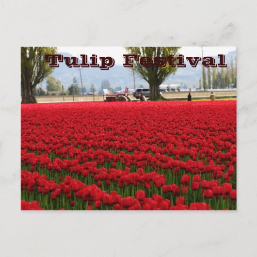 Het Festival van de tulp Briefkaart (Voorkant)