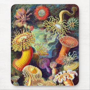 Het Fijne Art. van Ernst Haeckel van zeeanemonen Muismat