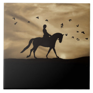 Het Fijne Art. van het Paard en van de Ruiter van Tegeltje