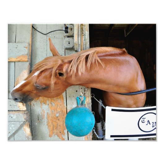 Het Flaxen "Alle inbegrepen" Foto Afdruk (Voorkant)