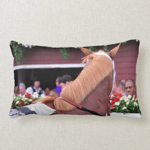 Het Flaxen "Alle inbegrepen" Kussen